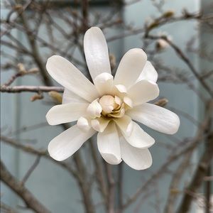 Meet your Posher, Chau